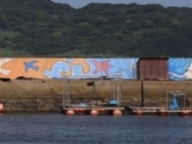 青島_青島