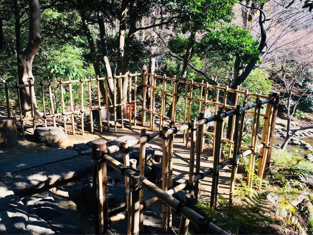 【清水観音堂跡(小石川後楽園)】_清水観音堂跡(小石川後楽園)