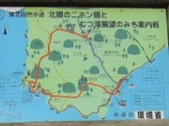 北限のニホンザル_野猿公苑