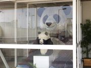ニコちゃんさんの上野駅ジャイアントパンダ像の投稿写真1