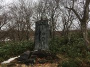 poporonさんの紫明亭展望台の投稿写真5