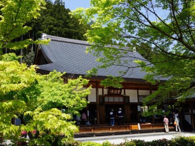 宝徳寺_宝徳寺