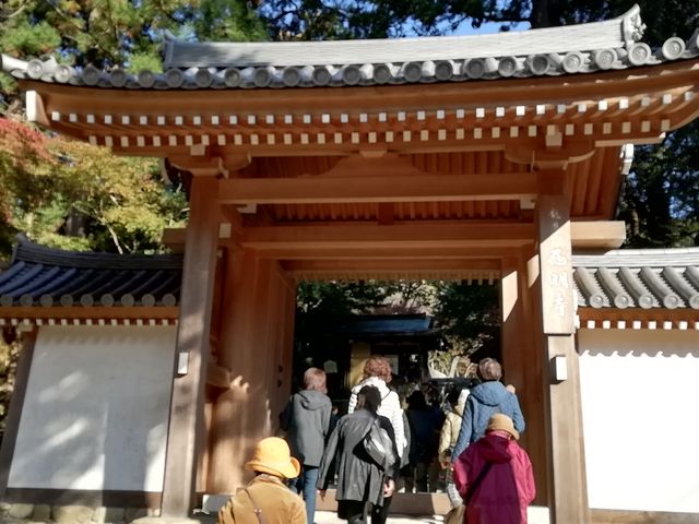 2015年落慶の惣門です_西明寺 表参道