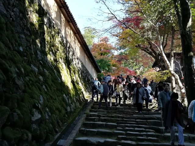 石段の参道の途中、左側に見事な石垣塀があります_西明寺 表参道