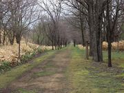 たかちゃんさんの狩勝ポッポの道の投稿写真4