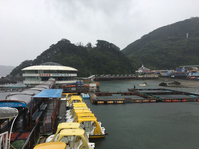 下田海中水族館レストランシーパーク_下田海中水族館 レストラン The Dish