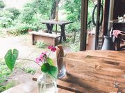 ヨッピ〜さんのカフェ・ポンシャの投稿写真1