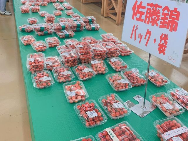 佐藤錦が沢山_よってけポポラ