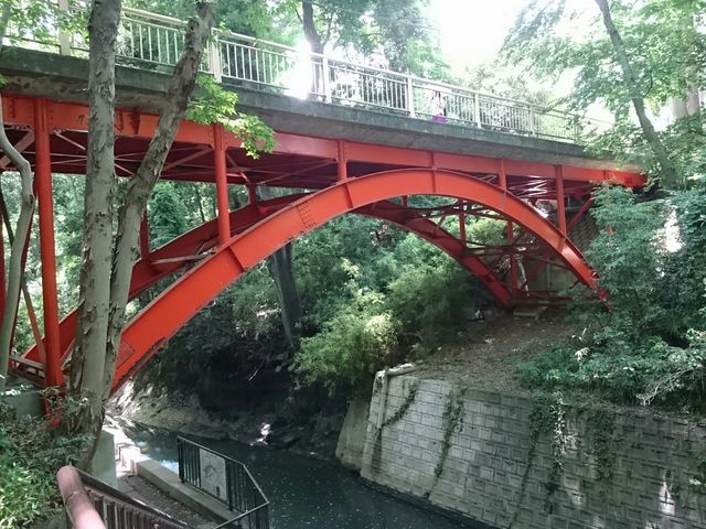 等々力渓谷_等々力渓谷公園