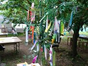エリコスさんの大町さくらんぼ園の投稿写真1