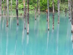 青い池の写真1