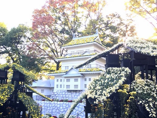 2017年の菊まつり_三島市立公園 楽寿園