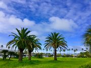 308777isaさんの宮崎空港案内所の投稿写真1