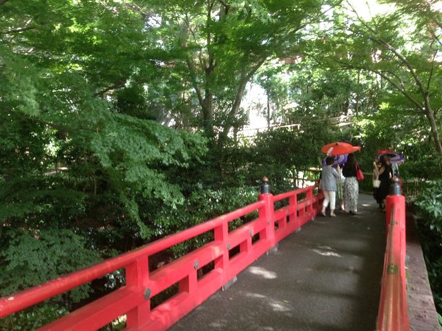 自由に借りれる日傘が映えます_椿山荘 庭園