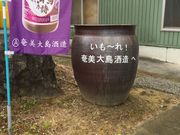 こうむさんの奄美大島酒造の投稿写真1