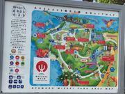 こうむさんのアヤマル岬のソテツ群生の投稿写真1