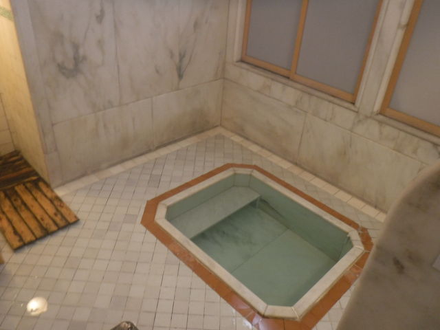 塔の沢 一の湯本館