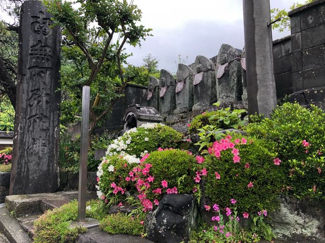 来迎寺2(参道の途中で撮影)_来迎寺
