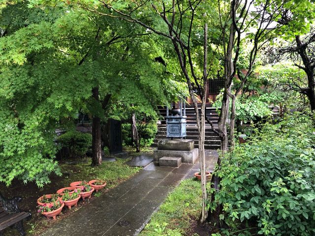 来迎寺4(境内)_来迎寺