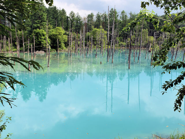 青い池_青い池