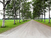 仏像さんの家畜改良センター十勝牧場展望台の投稿写真1