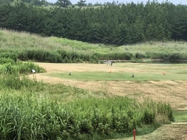 かもしか登場_夏泊ゴルフリンクス