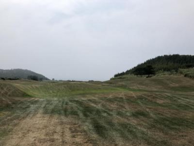 少し荒れ気味_夏泊ゴルフリンクス