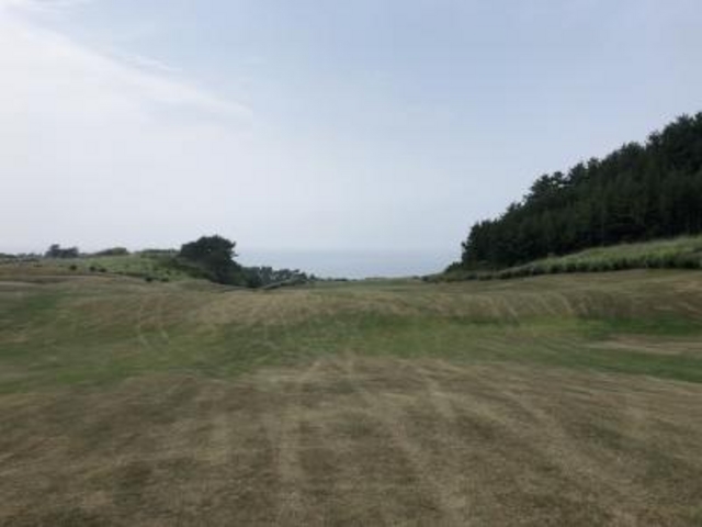 打ち込みます。_夏泊ゴルフリンクス
