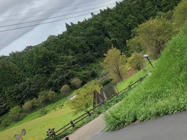とても癒される景色_草允 わらび野
