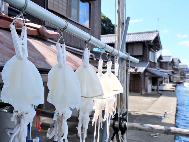 舟屋見学にて_京都海道