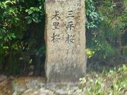 マックさんの丹鶴城公園の投稿写真19