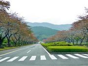 甘辛熊さんの冨士霊園の投稿写真1