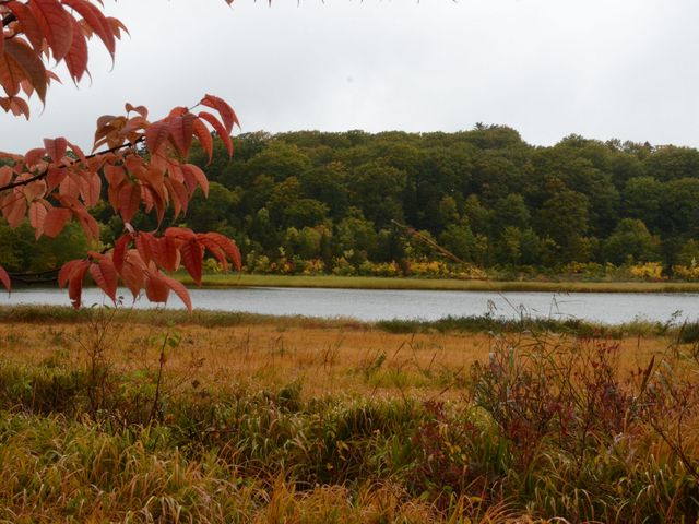 大沼の紅葉_八幡平大沼遊歩道