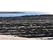 マヤバーさんの青島の投稿写真2