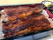 マヤバーさんの城山展望台(鹿児島市)の投稿写真5