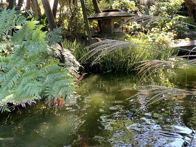 【小田原文学館・白秋童謡館】白秋文学館のお庭_小田原文学館・白秋童謡館