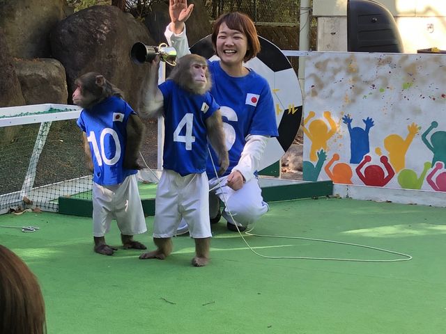 サッカー日本代表7得点勝利!_日光さる軍団