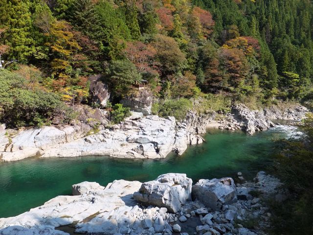 中山七里