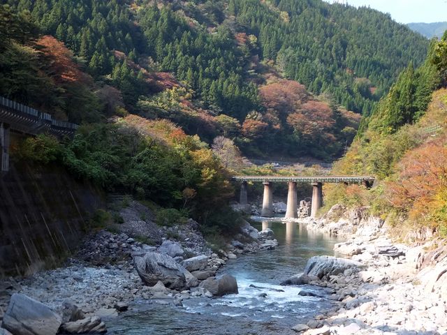 中山七里