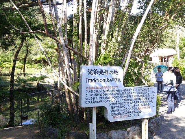 泥染の池_奄美大島紬村