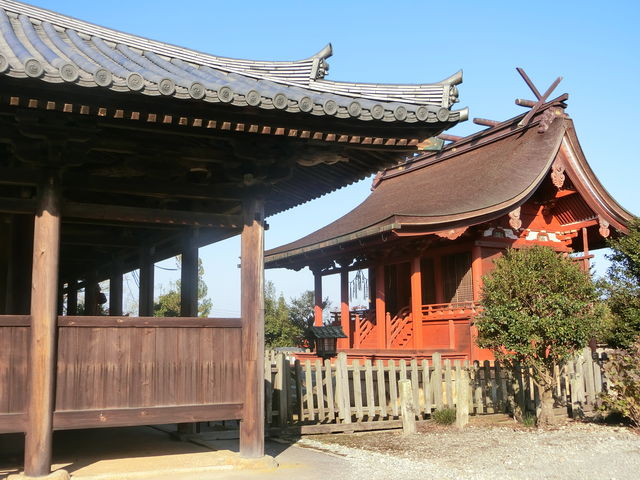 浄土寺