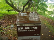 メタボ大王さんの中尾山古墳の投稿写真1