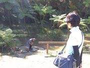 モロさんの奄美大島紬村の投稿写真5