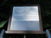 雷雷クーンさんの石貨の投稿写真3