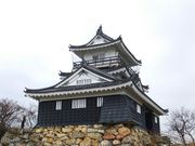 ニコちゃんさんの浜松城天守閣の投稿写真1