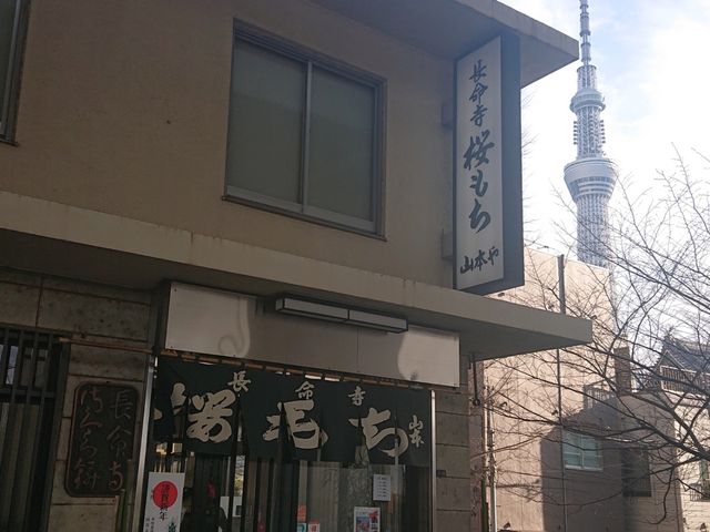 長命寺桜もち 山本や_長命寺 桜もち 山本や