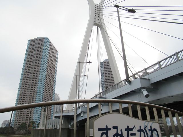 北西詰近くの隅田川テラスからの様子_中央大橋