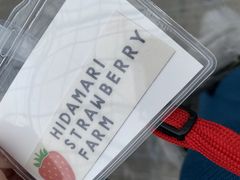 ななさんの陽だまり農園への投稿写真1