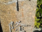 よし@兵庫さんの平隆寺の投稿写真1