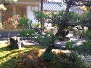 よし@兵庫さんの平隆寺の投稿写真2